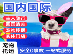 德宏芒市航空物流国际宠物托运 【国